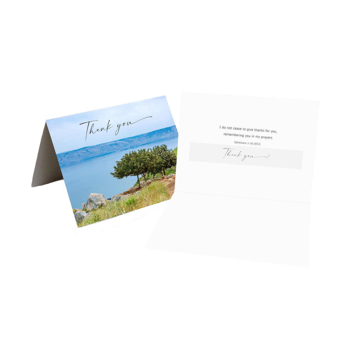 BUNDLE - The Land or Promise Hardcover Book + Greeting Cards 10PK