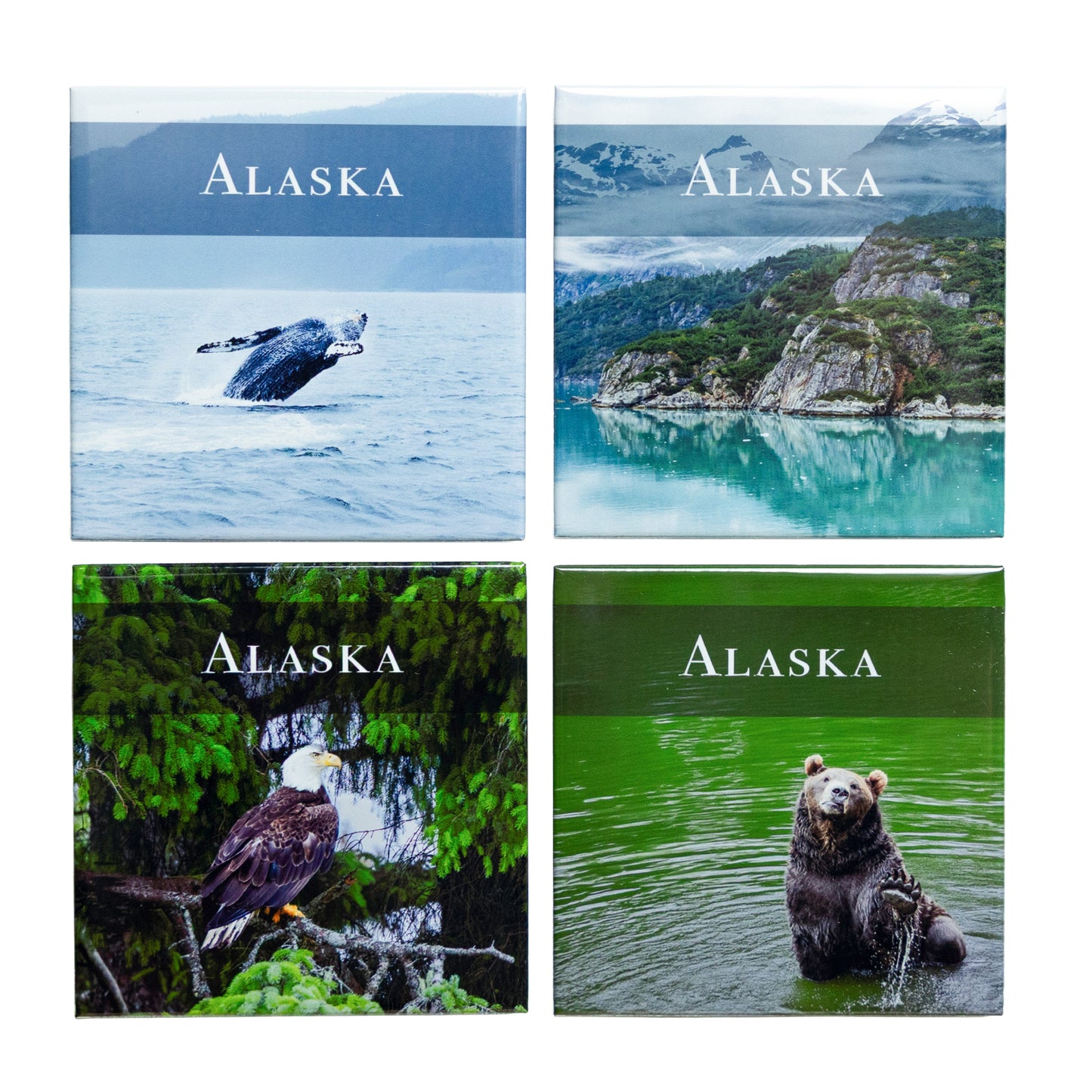 Alaska Collection - Set of 4 Photo Magnets