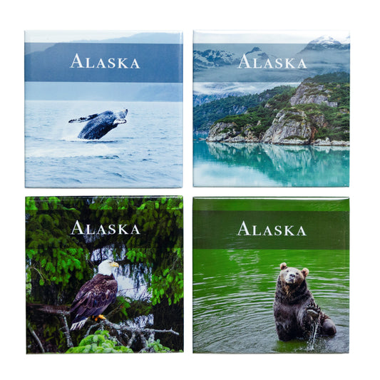 Alaska Collection - Set of 4 Photo Magnets